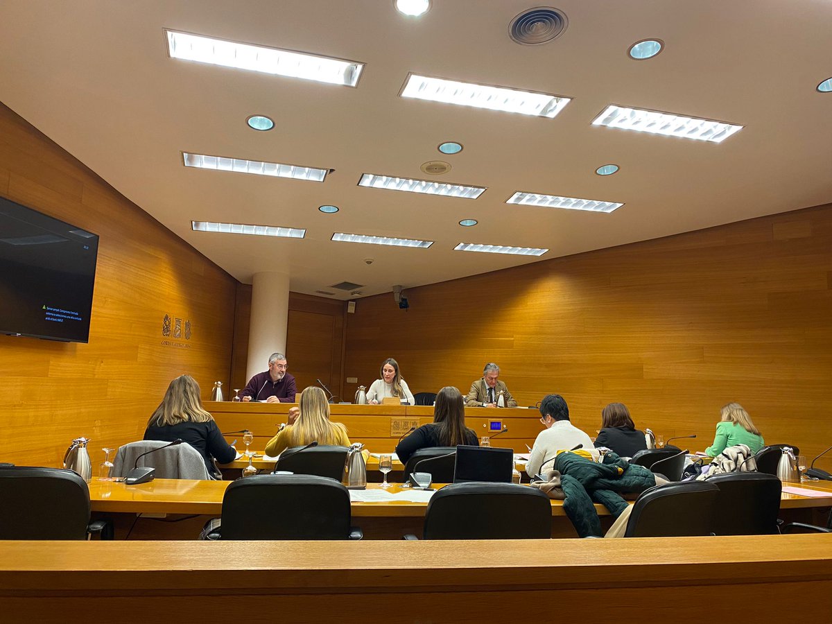 AVAFAM's tweet image. El 13 de febrero de 2023, nuestro presidente D. Manuel Tarragona ha comparecido en las cortes valencianas dando voz a tantas y tantas familias

Estas han sido las reivindicaciones: avafam.org/dando-voz-a-la…

#SomosFamiliasNumerosas #DandoVozALasFamiliasNumerosas #CortsValencianes