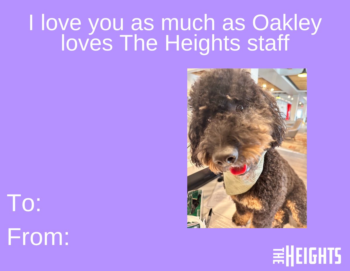 TheHeightsVerm's tweet photo. Happy Valentine’s Day 🫶 https://t.co/XirQ6AjlVd