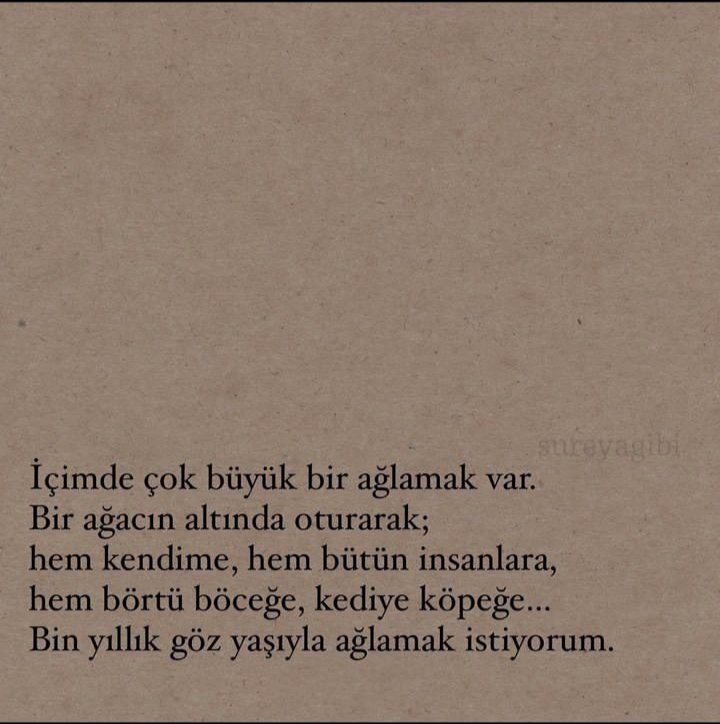 ZEYNEP (@butterflytprk) on Twitter photo 