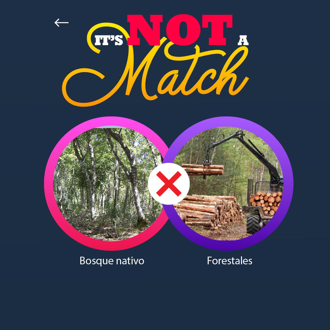GreenpeaceCL's tweet photo. Es #14DeFebrero pero... ¡Había que decirlo! 🌎 En este planeta hay parejas que JAMÁS van a ser compatibles❌ Los #NotMatch que le dicen👆
Súmate a Greenpeace y ayúdanos a seguir trabajando para que estén lo más lejos posible unos de otros⚠️
👉https://t.co/efwJ0dSuDK https://t.co/GsTkveoCsP