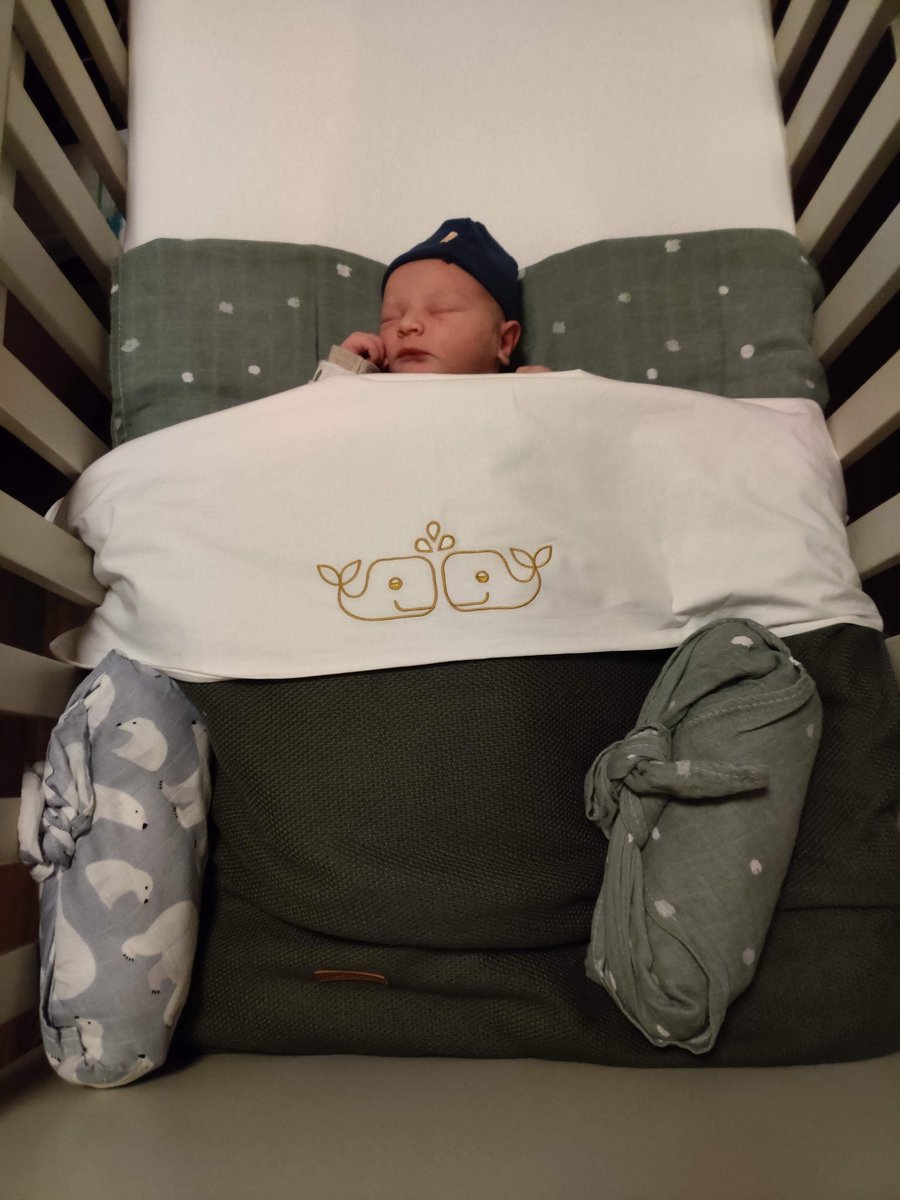 devis1's tweet image. Gisteren 2 jaar geleden werden onze zoon en schoondochter vader en moeder van een zoon.
Eergisteren kreeg dat drietal een zoon/broertje en wij ons tweede kleinkind. 😍