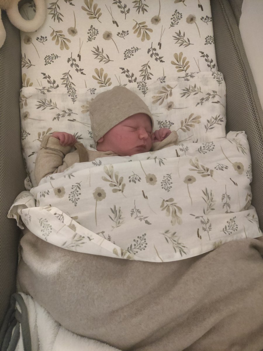 devis1's tweet image. Gisteren 2 jaar geleden werden onze zoon en schoondochter vader en moeder van een zoon.
Eergisteren kreeg dat drietal een zoon/broertje en wij ons tweede kleinkind. 😍