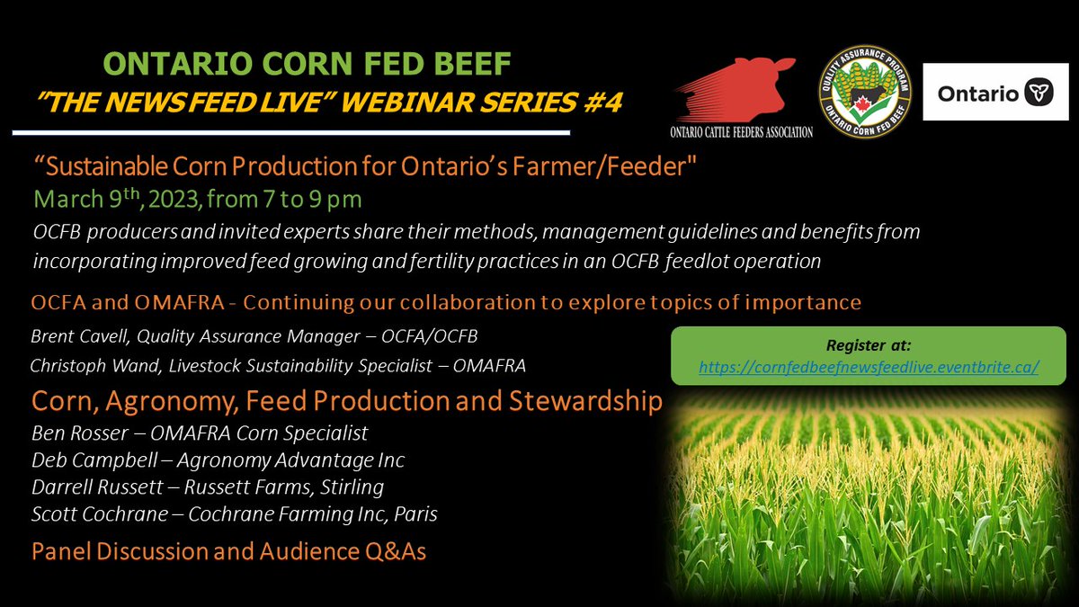 CtophWand's tweet photo. Next @ONCornFedBeef @OMAFRA 'News Feed Live' webinar will focus on the production of your farm-grown corn and feedstuffs.  Featuring @DCHighlander Ben Rosser @ScottCochrane3 Darrell Russett.  All previous attendees auto-registered.  New participants RSVP: https://t.co/7OM7j6uxnB https://t.co/Zmk6WyHTpi
