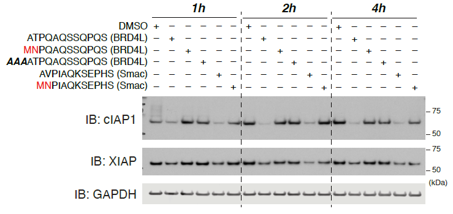 Ingo Hartung tweet media