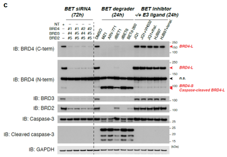 Ingo Hartung tweet media