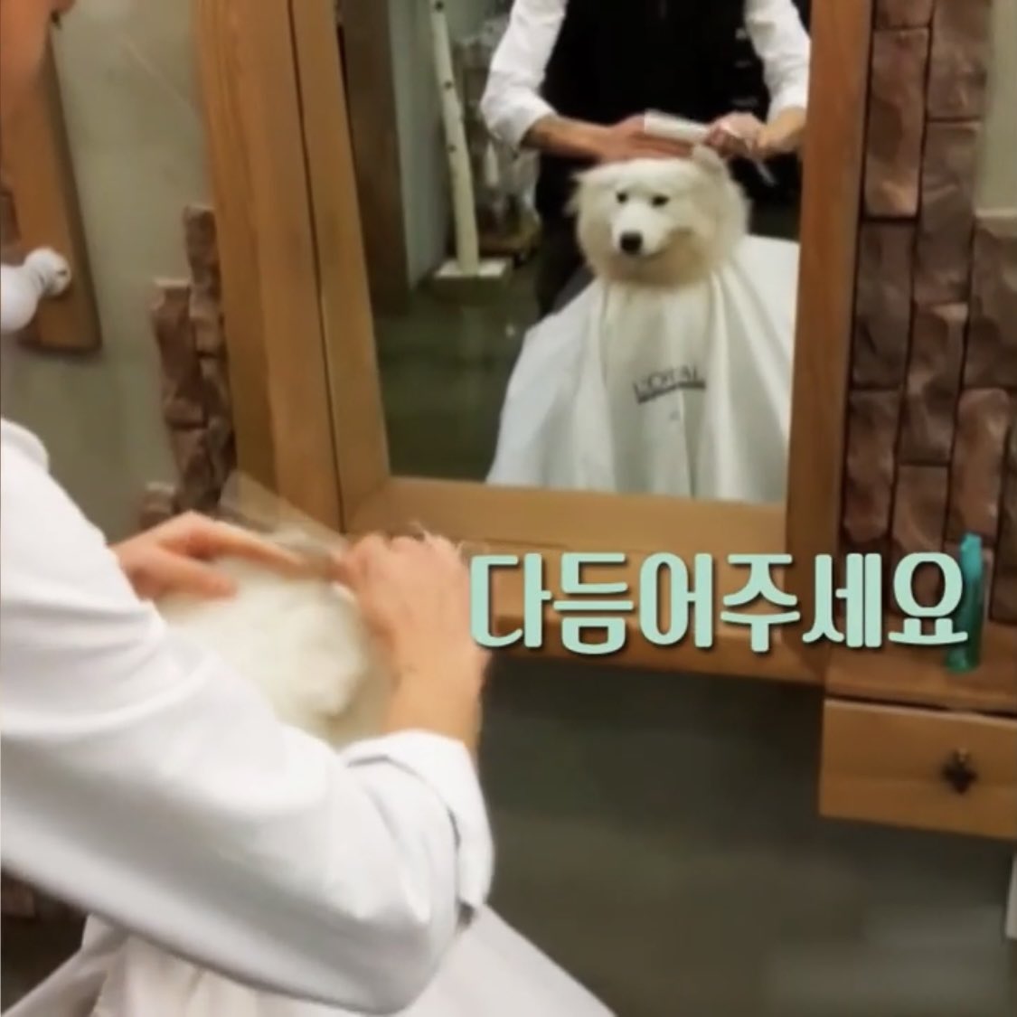 takemybear 🐶 tweet media