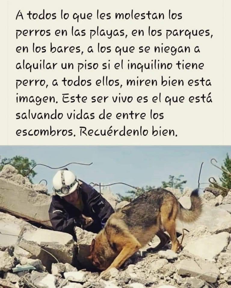 mayumiguillen's tweet image. 