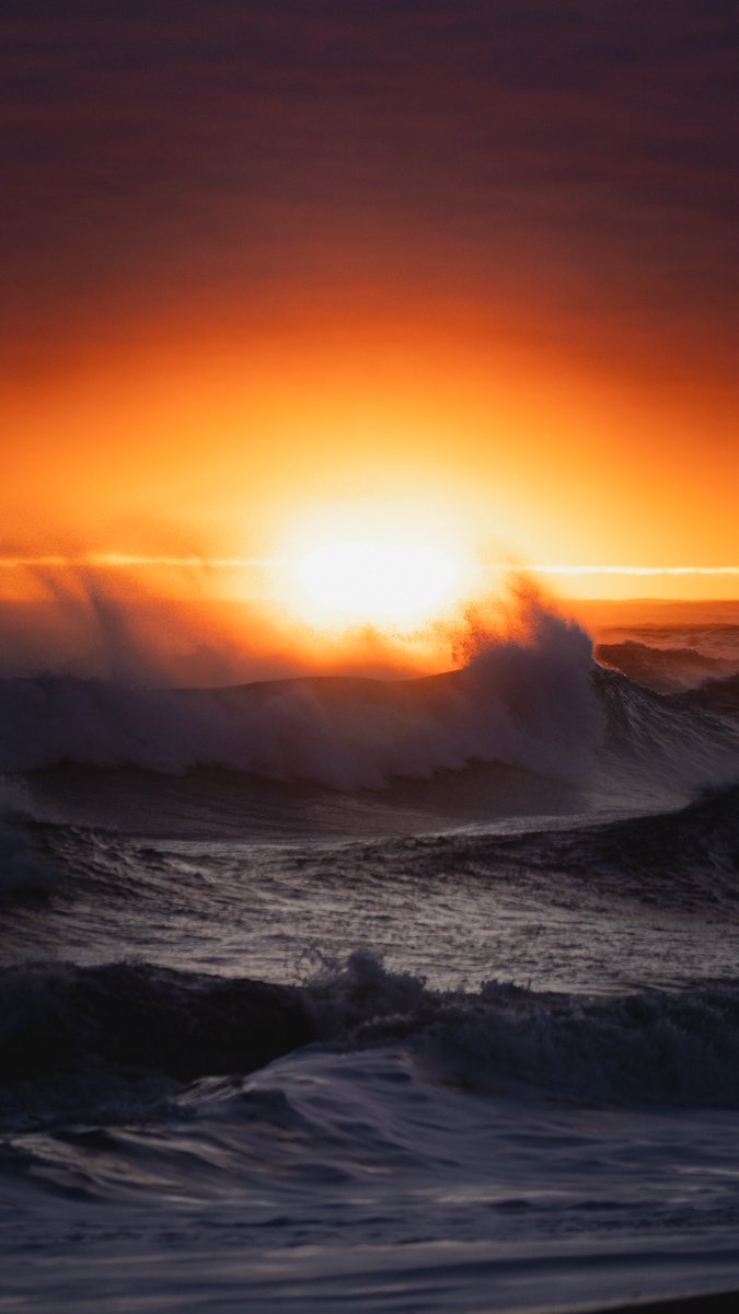 GM and happy Valentine’s Day! ☀️