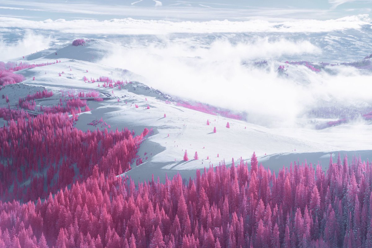 Deer_Valley's tweet photo. Turning #DeerValley pink for Valentine’s Day with infrared photos by (@)ryan.berg.a. 💕 https://t.co/2672yQ1bnQ