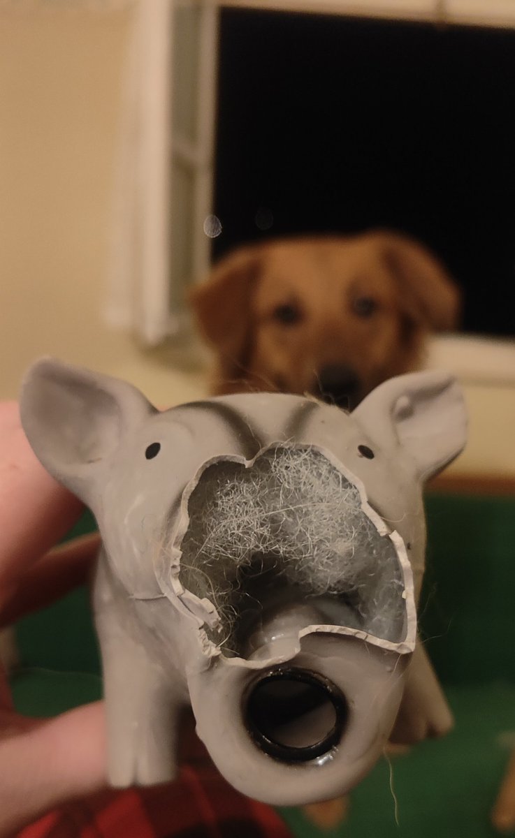 YoshiYoshBK's tweet photo. 18:50h
(Nur mal vorsorglich: Wer auf dem Hunde-Sofa Hundehaare findet, darf sie gerne behalten 🤗) https://t.co/Z1TbJtC27K