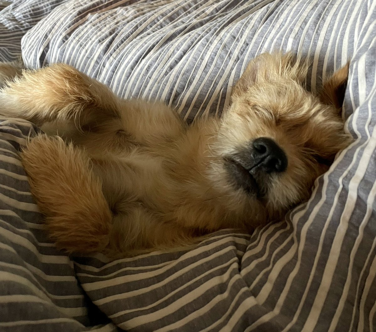 Ali Anderson tweet media