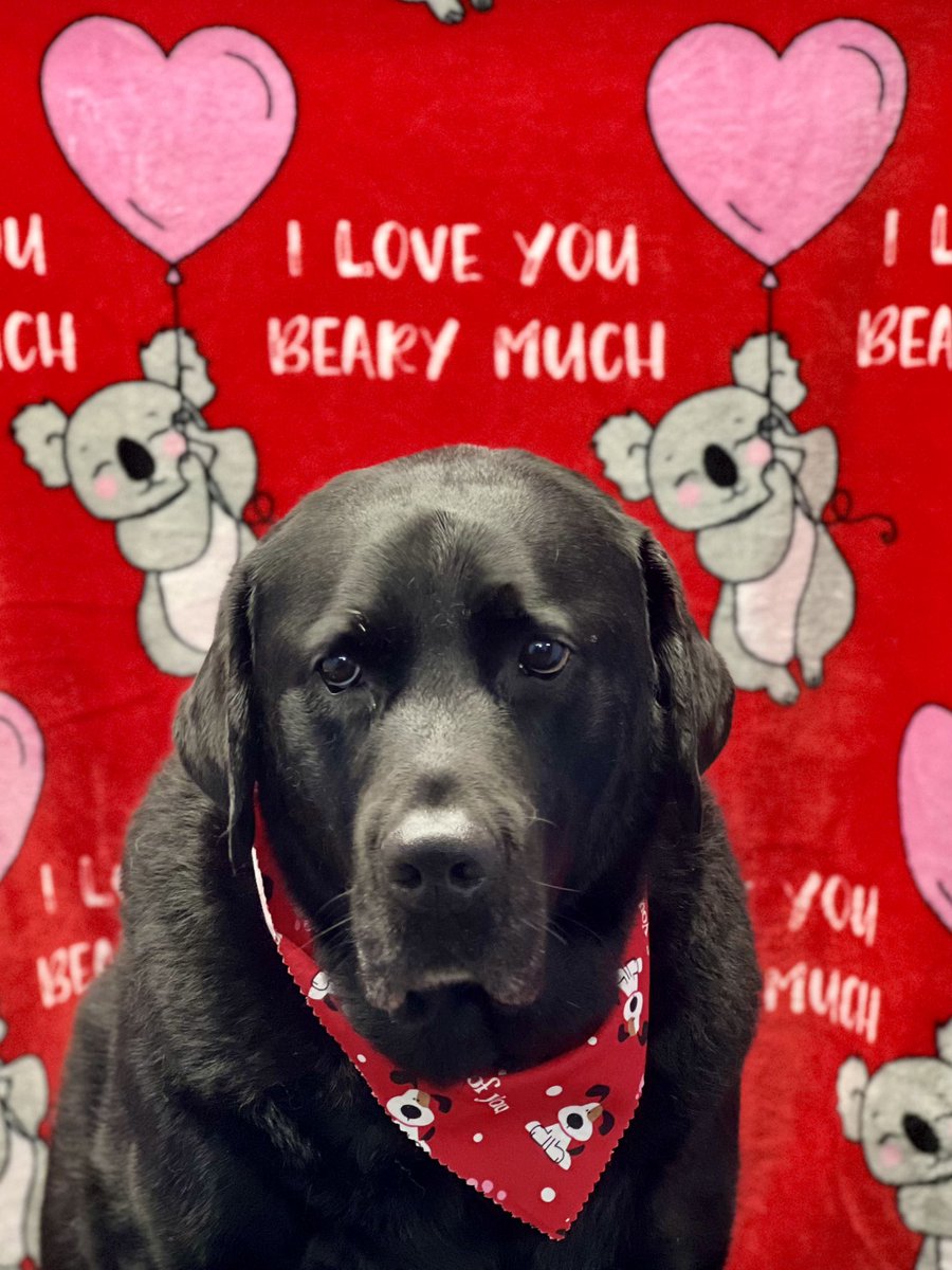 Happy Valentine's Day from Phil