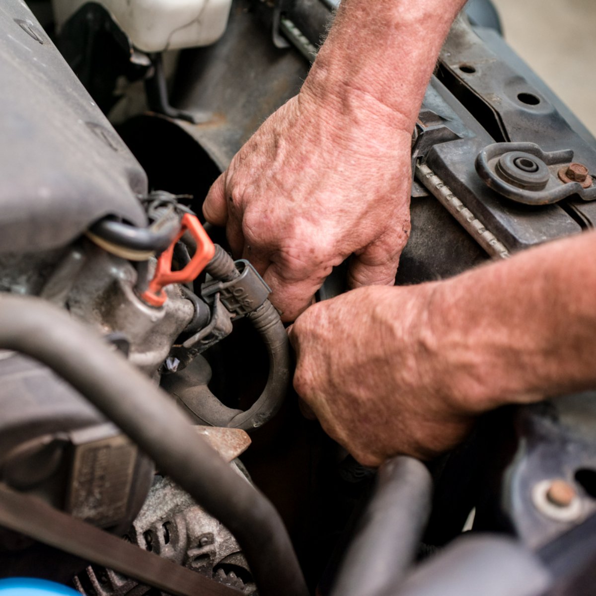 Brownie's Auto tweet media