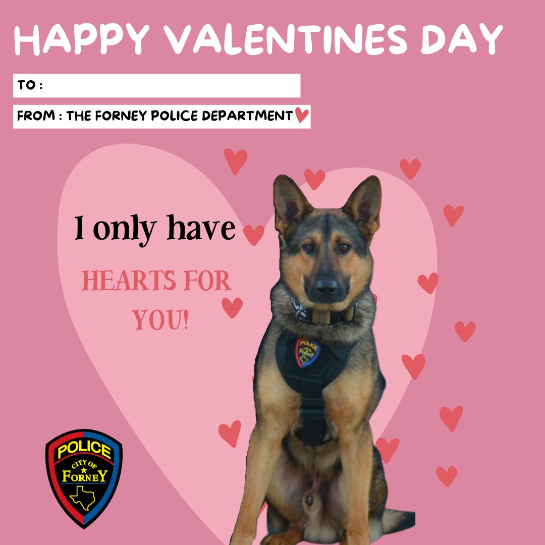 Forney Police Department tweet media