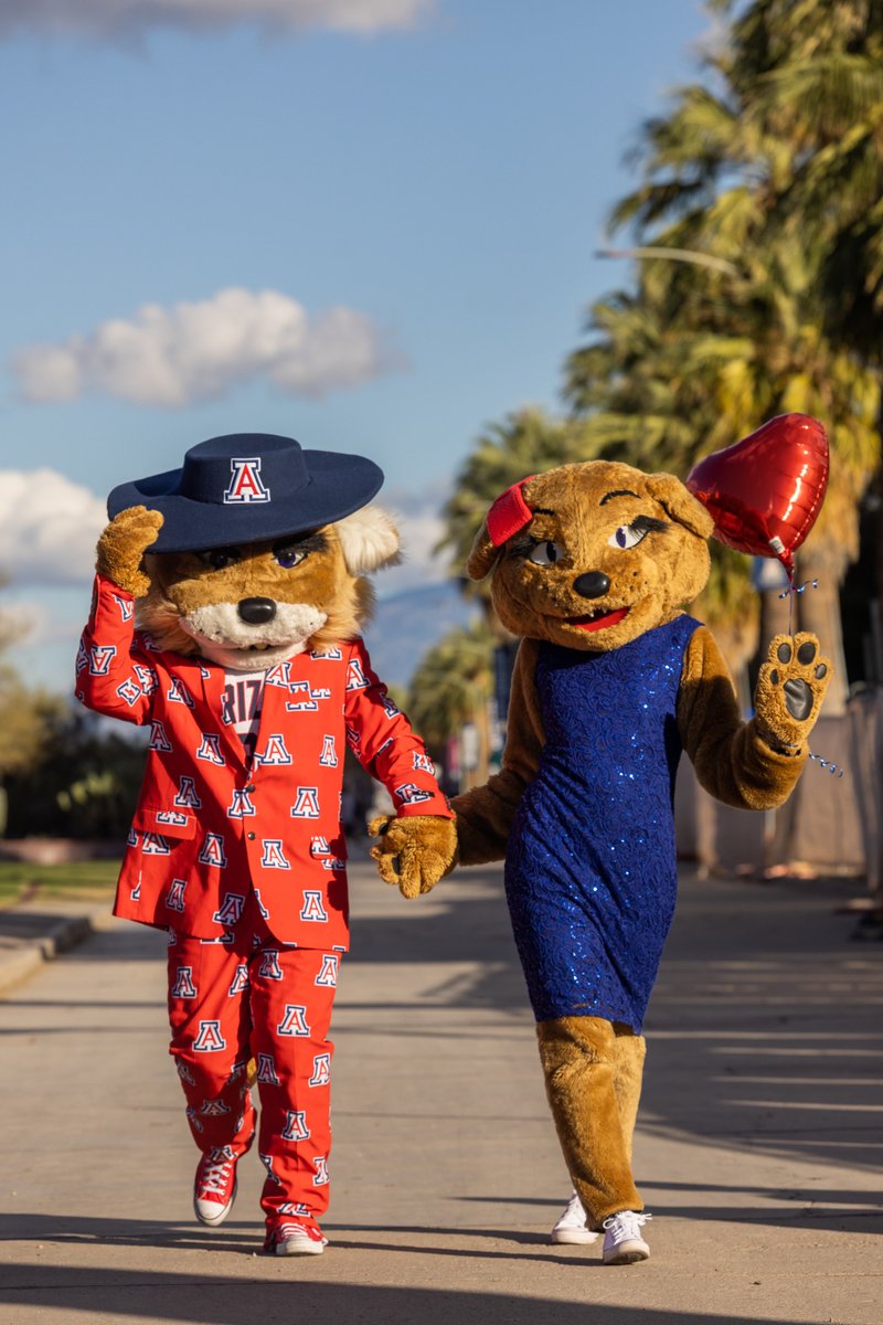 We hope your day is filled with joy and love. Happy Valentine's Day, Wildcats! ❤️ 💙