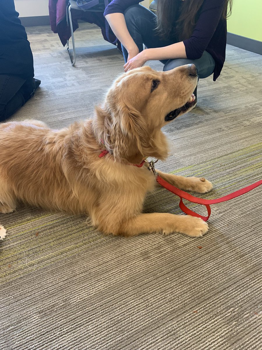 Richardson Hall LLP tweet media