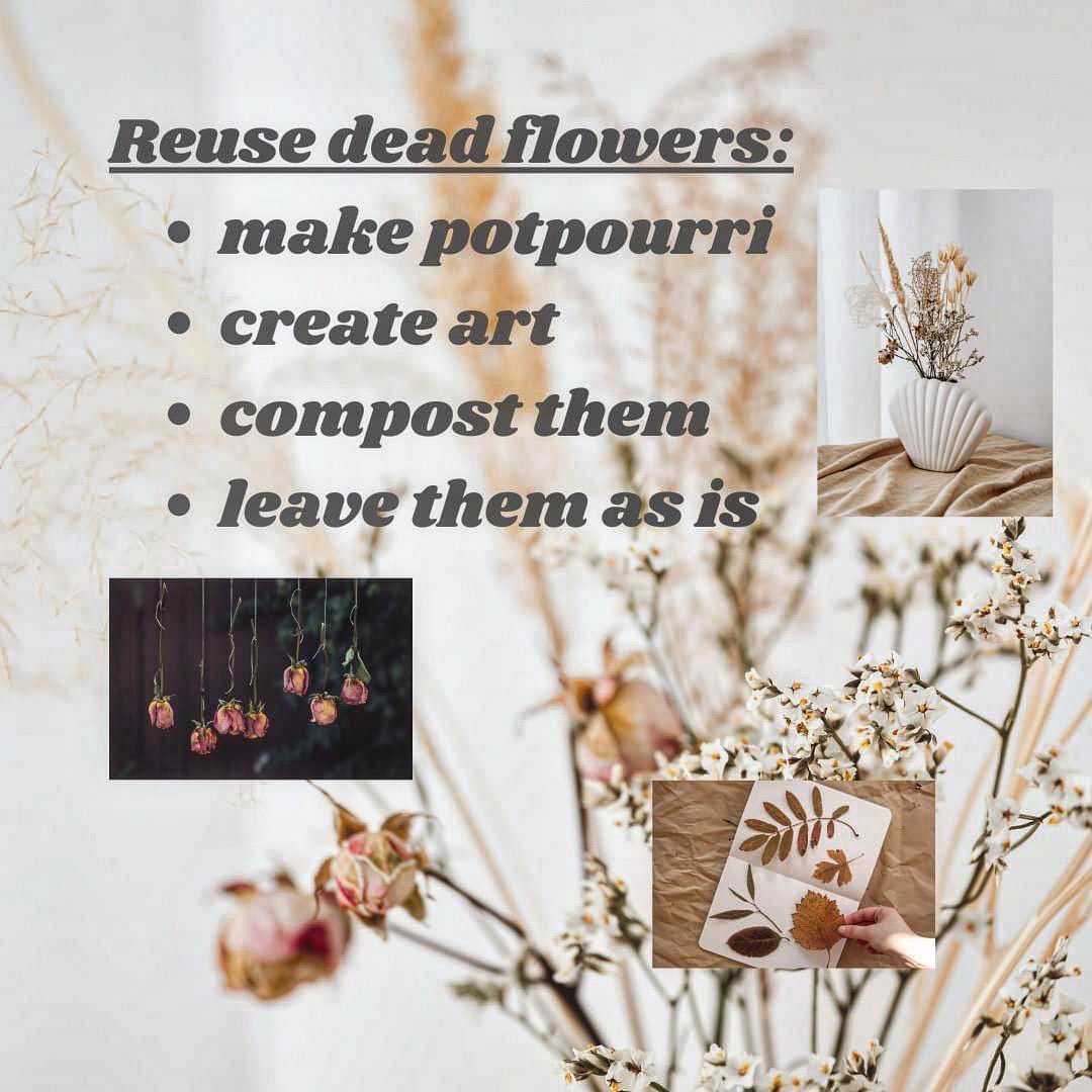 Recycle Tompkins tweet media