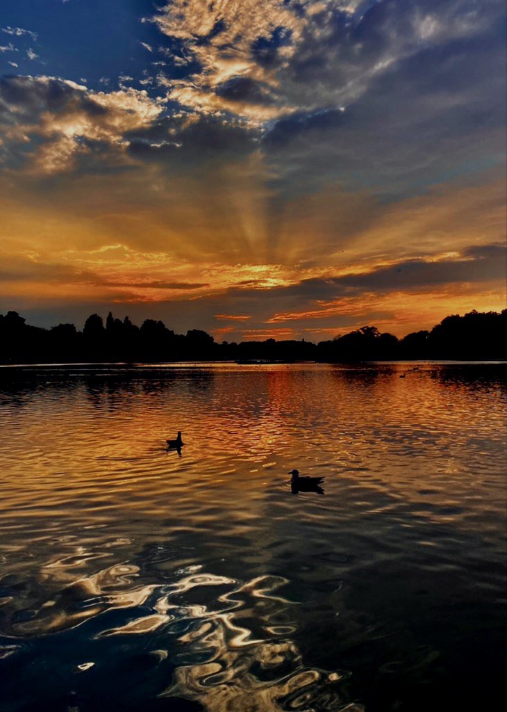 AledHall's tweet image. Wel…sdim ishe gwell na hyn ar y wacen adre ar ôl diwrnod bishi o ymarferion Turandot…am arddangosfa🙏🏻😃

Well..can’t ask for anything better on my walk home after a busy day of Turandot rehearsals…what a display🙏🏻😃
@StormHour @ThePhotoHour 
#LondonSunset

Nos da x❤️