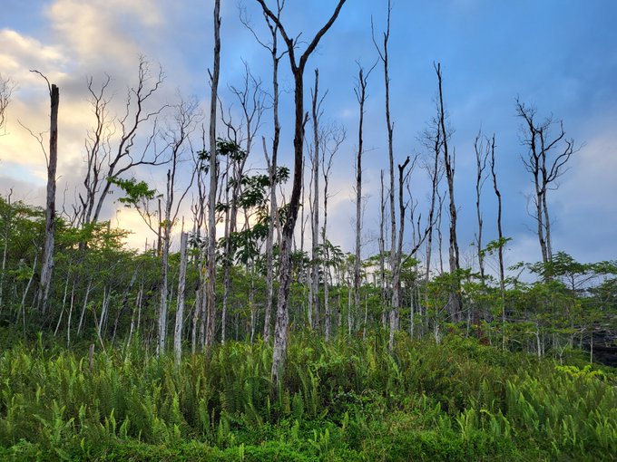Gerry Hassan 🇺🇦 on Twitter "The longterm consequences of the eruption