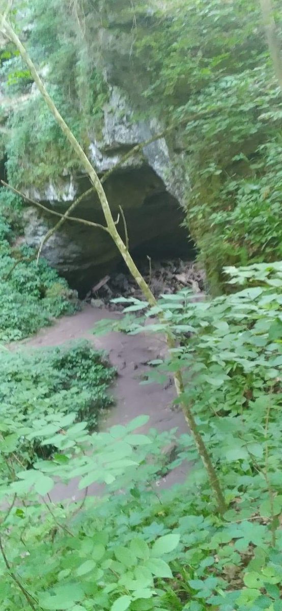 New town every hour on Twitter "Blue Springs, Missouri Population