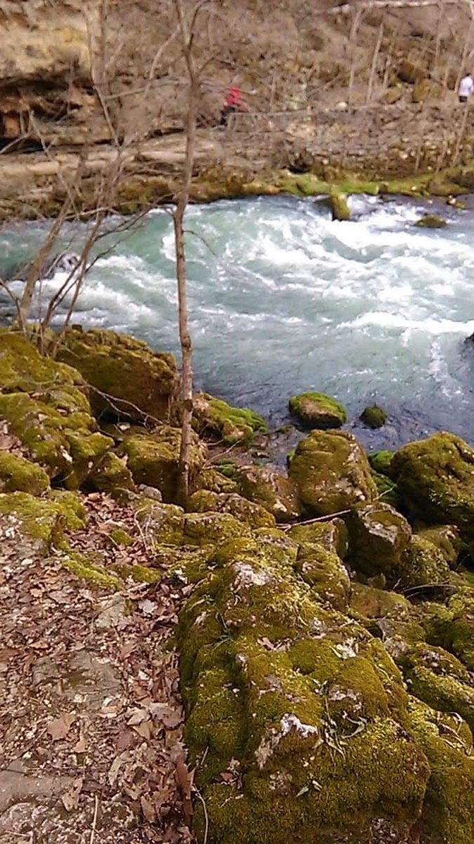 New town every hour on Twitter "Blue Springs, Missouri Population