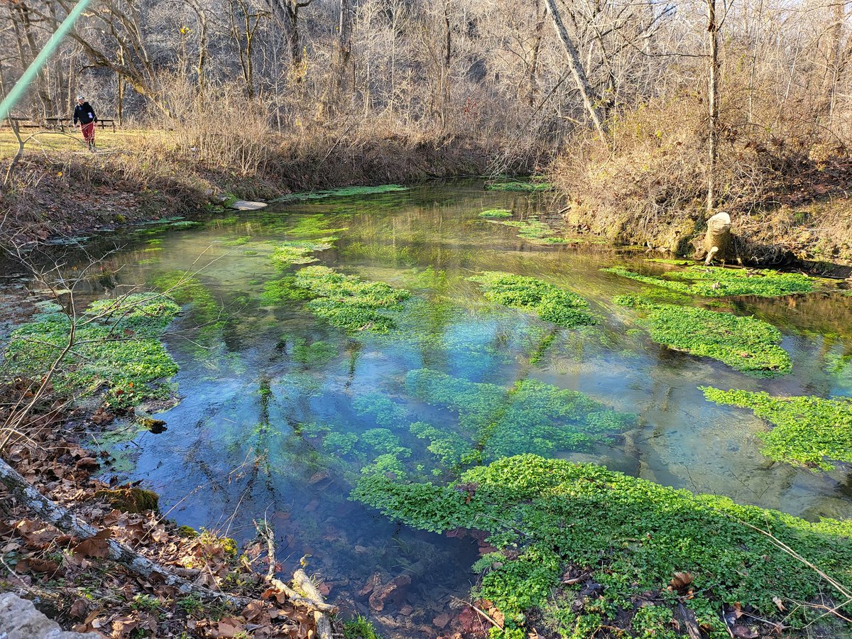 New town every hour on Twitter "Blue Springs, Missouri Population