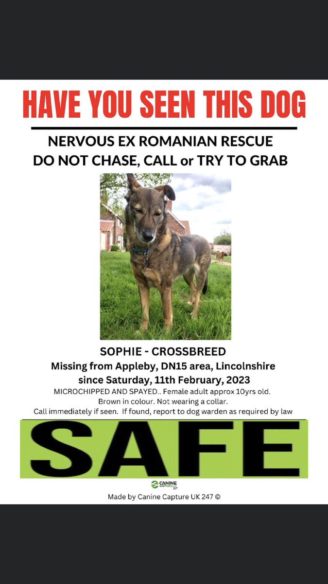 @colliesontherun @ApplebyGolfClub @applebynews @BlueFrenchie1 @MissingPetsGB @karensarah66 @bs2510 @BitofDecorum @gelert01 @rosiedoc666 @mazzy1412 @PcsharonPage @SheilaGarci2 SAFE Returned Home x