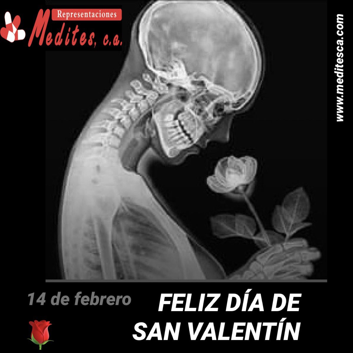 meditesca's tweet photo. Feliz y bendecido día de San Valentín

Tenemos disponible Medio de Contrastes para estudios de diagnóstico: Tomografía, Flebografia, Arteriografia, Urografia, Angiografía, Artrografia y Resonancia Magnética. Originales de Laboratorio Bayer

La salud es el mejor regalo cuídala https://t.co/eUDqiJFEmZ
