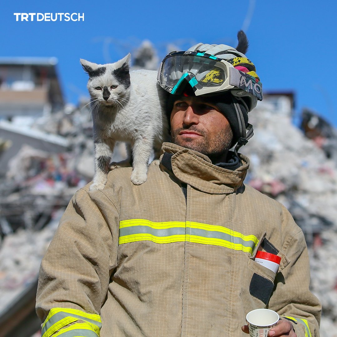 Feuerwehrleute aus der Provinz Mardin haben eine Katze aus den Trümmern in Gaziantep gerettet – und ins Herz geschlossen. Sie tauften die Katze auf den Namen „Enkaz“ und kümmern sich nun in den Pausen um ihr neues Maskottchen.