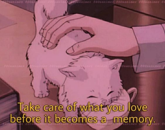 90sPiictures's tweet photo. true vibe https://t.co/Cw9SIwpXQJ