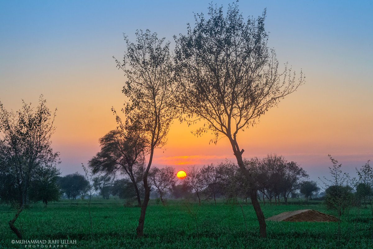 Muhammad Rafi Ullah Photography tweet media