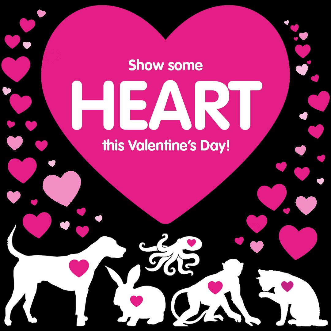 CrueltyFreeIntl's tweet photo. This Valentine's day, will you support the HEARTS Act? 💖 

The HEARTS Act will modernize the National Institutes of Health to ensure that humane and human-relevant methods are at the heart of its science investment.

Learn more - https://t.co/w2NvbkHijv

#HEARTS4HumaneScience https://t.co/erLF3H3Vr6