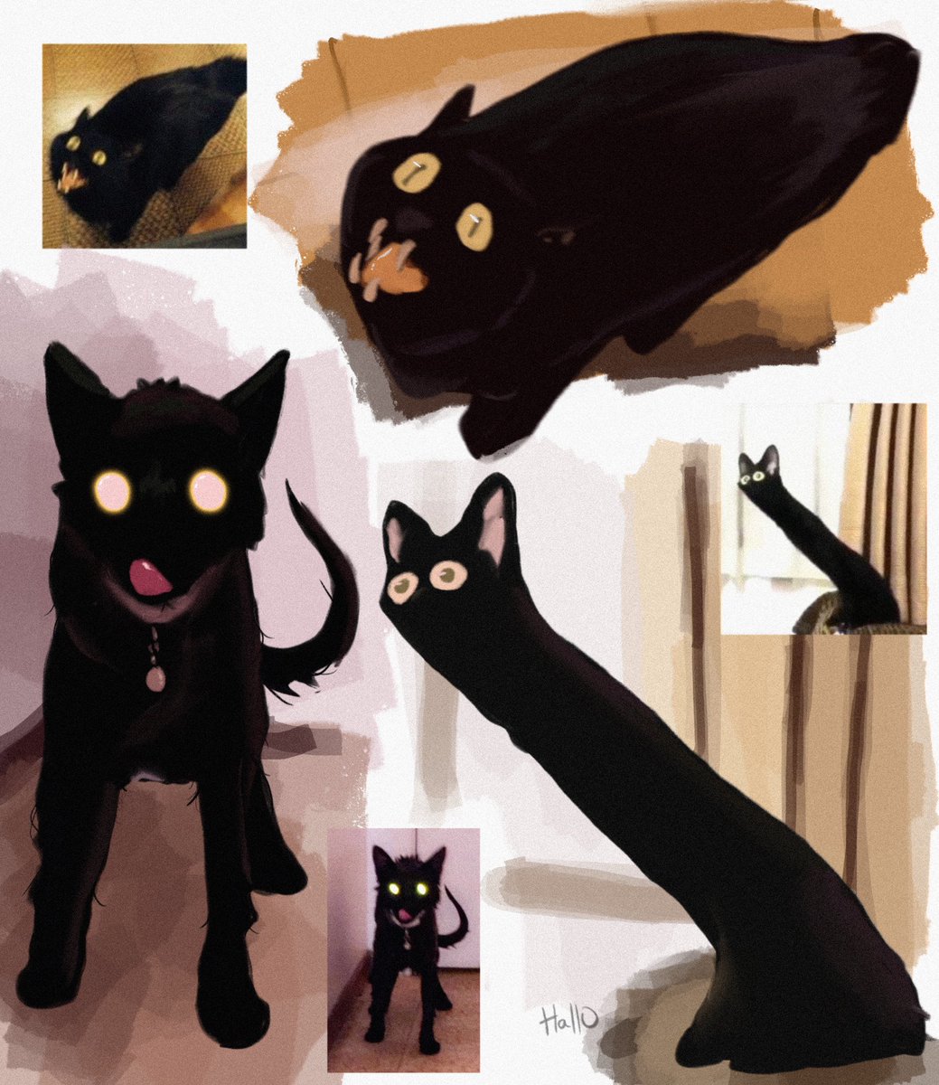 Haven’t done this for a while but here’s some cursed cat doodles
#cursedcats #CatsOfTwitter #illustrationart #Doodles