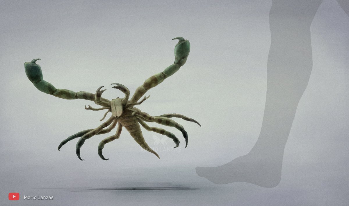 mariolanzas5's tweet image. PALAEOISOPUS . from the Devonian period video: youtu.be/0aH-vpdbGVI) #palaeoisopus  #devonian  #paleoart