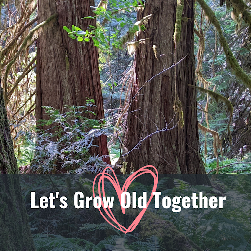 Roses are red, violets are blue. A world with more #OldGrowth? What a beautiful view! 😍 @POTUS @USDA #OldGrowthForests are #WorthMoreStanding 🌲💞
