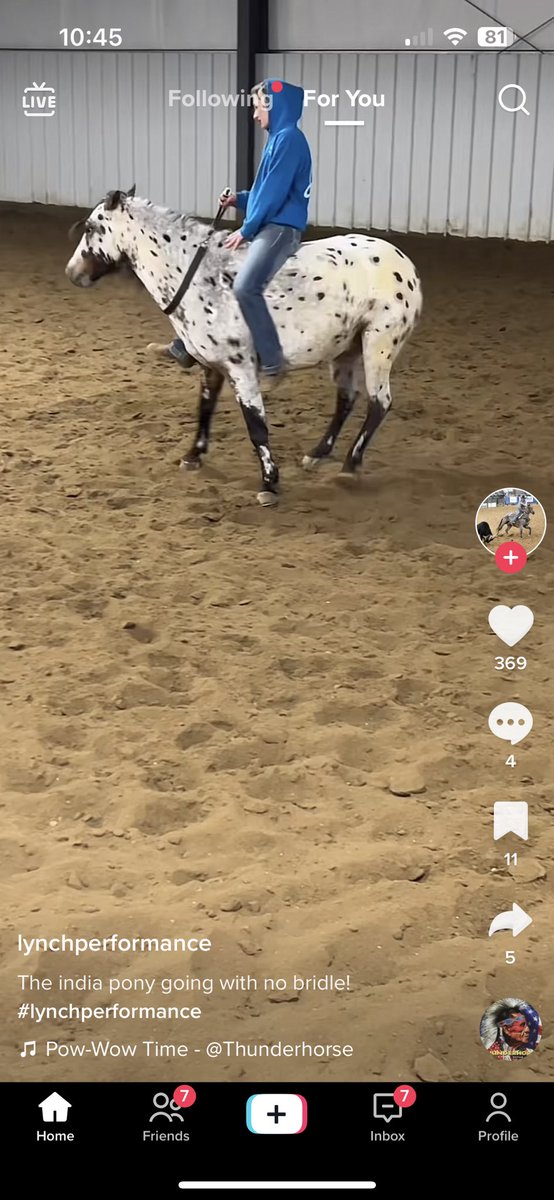 EmmalyElizabeth's tweet photo. Yet another episode of “using a tack collar does not count as bridleless” https://t.co/4ZtK1uL0Zz