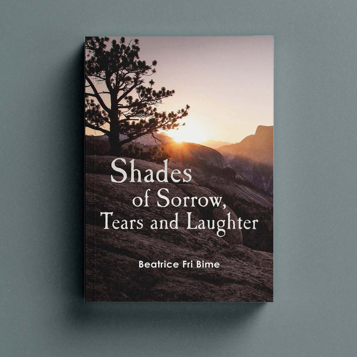 Spears Books tweet media