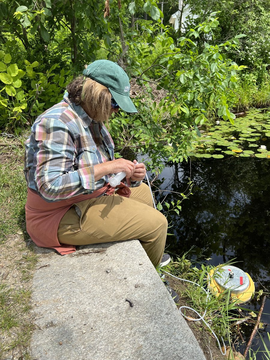 EMERGE_BII's tweet image. 📣There’s still time to join us in NH this June! Are you a scientist interested in training and engaging in the multidisciplinary science of how #ecosystems are responding to climate change? Check out our Summer Program! Application deadline is tomorrow! emerge-bii.github.io/summerprogram/