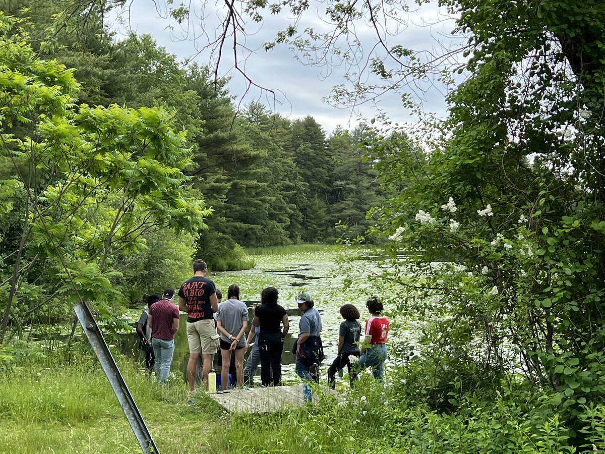 EMERGE_BII's tweet image. 📣There’s still time to join us in NH this June! Are you a scientist interested in training and engaging in the multidisciplinary science of how #ecosystems are responding to climate change? Check out our Summer Program! Application deadline is tomorrow! emerge-bii.github.io/summerprogram/