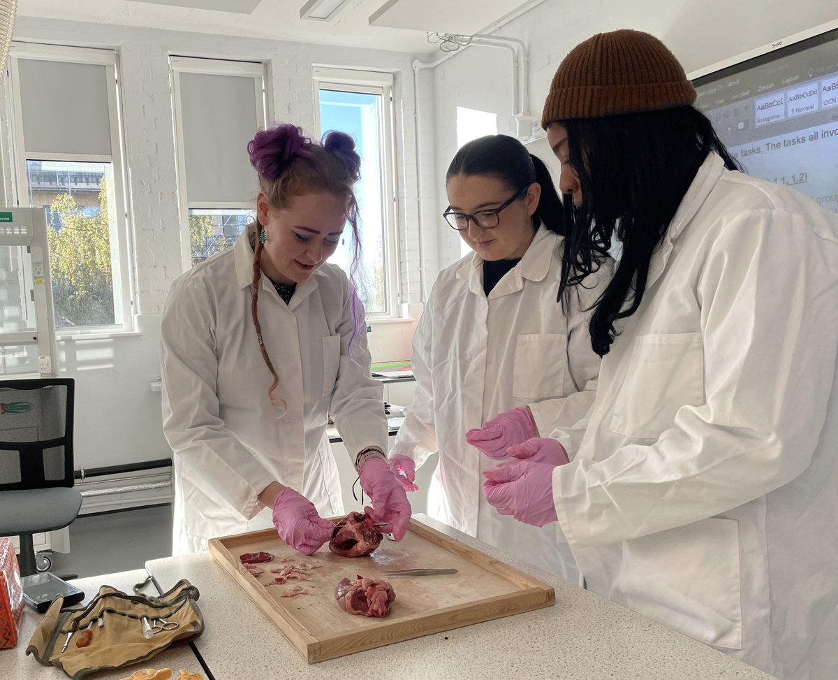 We celebrated #ValentinesDay a little early @morleynkren with a heart dissection last week for our @OCNLondon #accesstohe students! ❤️

#adulteducation #learnscience @morleycollege