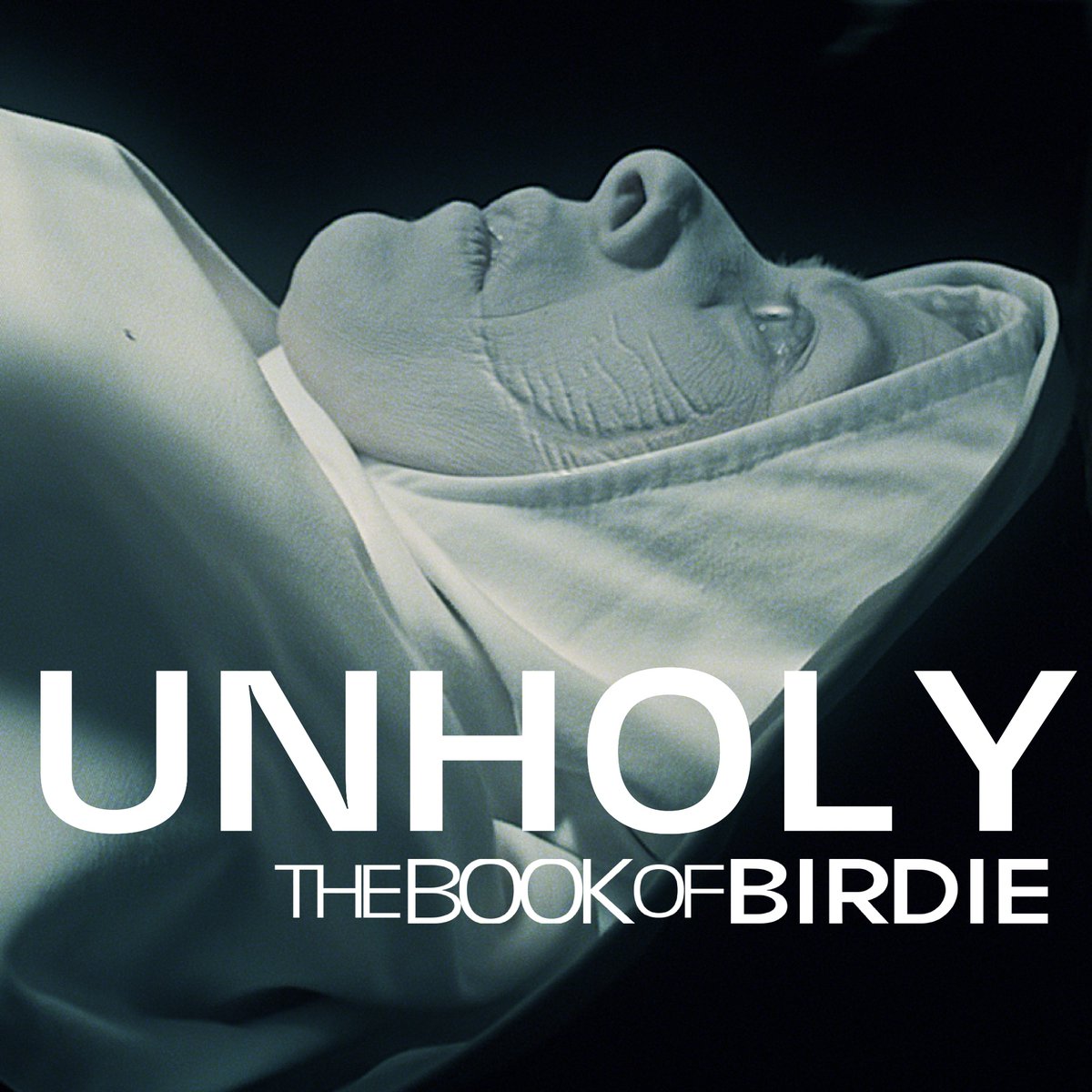 TheBookofBirdie's tweet photo. Ready to revisit The Book of Birdie? 

#thebookofbirdie #indiefilms #indiemovies #weirdmovies #fantasymovies #elizabetheschuch #femaledirectors #period #blood #womeninfilms #F-rated https://t.co/lbrETAXils