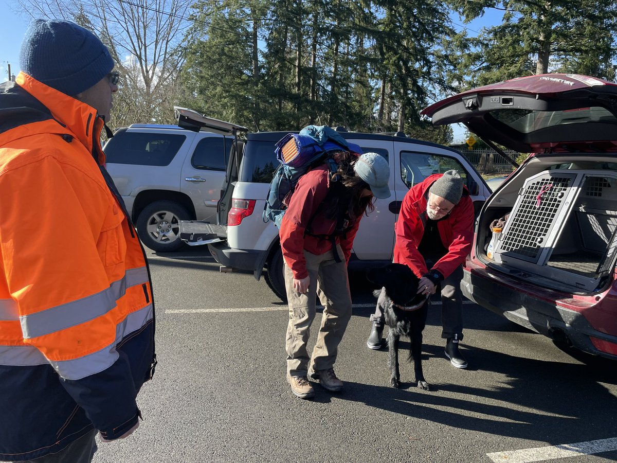 BvuePD's tweet image. @KCSARC has three dogs involved in the search. Lincoln is a flat coated retriever, an air scent dog. Lincoln will search an area and find all humans.