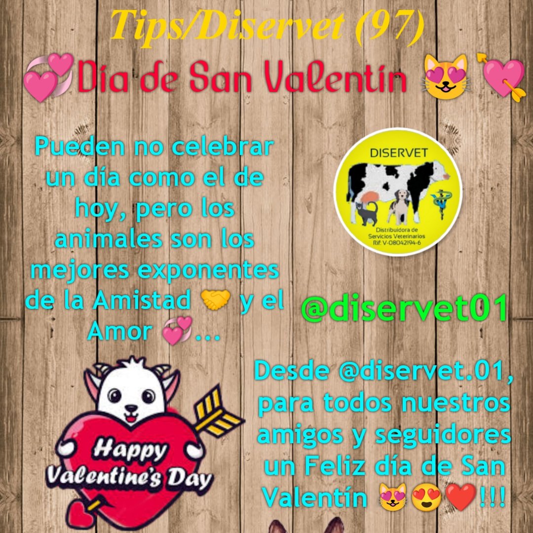 diservet01's tweet photo. @diservet01 #TipsDiservet #Feb14 #sanvalentin #amistad #amor #petlovers
#consultaveterinaria @mvreinaldorivas https://t.co/MFGupPINcV