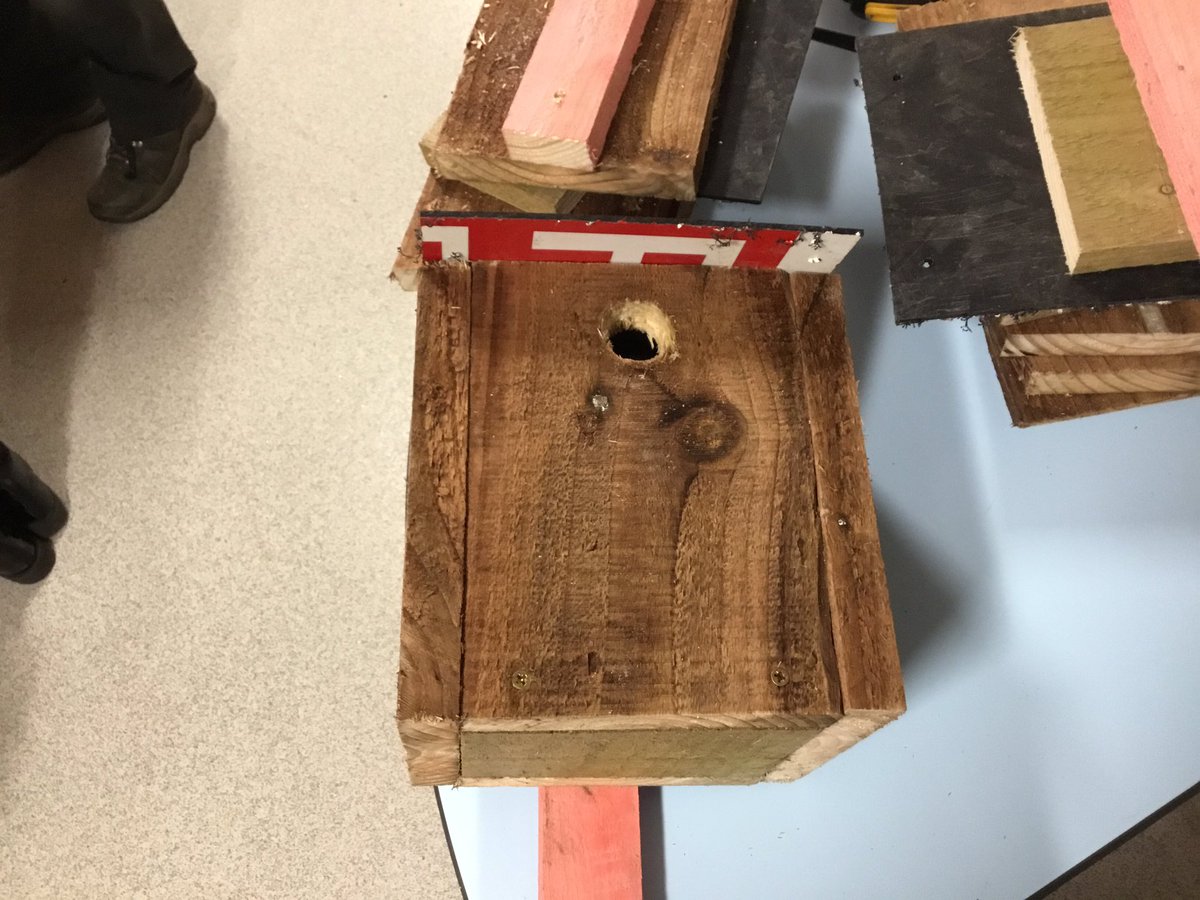 Miss Main & Miss Thomas tweet media