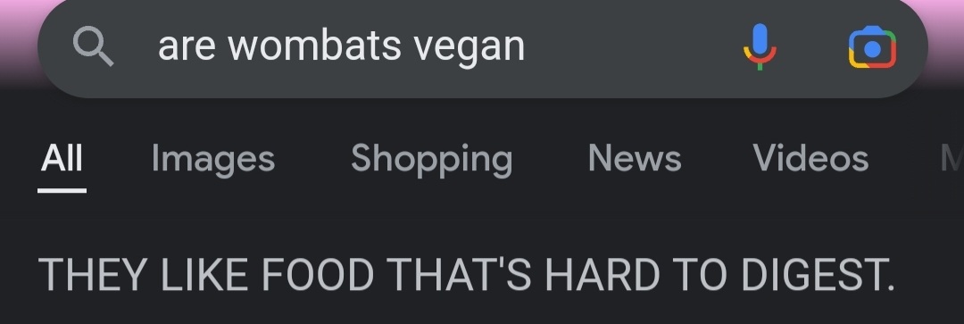 Google's incredibly angry that I don't know my wombat facts...