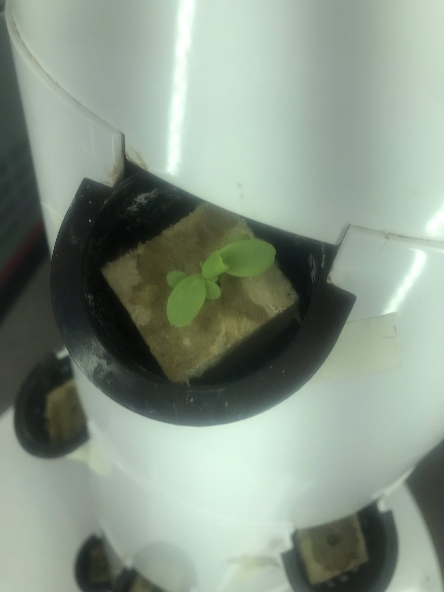 STEAM@BCSS tweet media