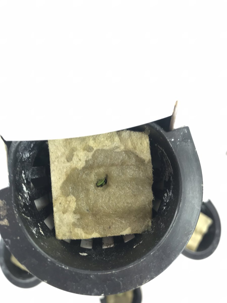 STEAM@BCSS tweet media