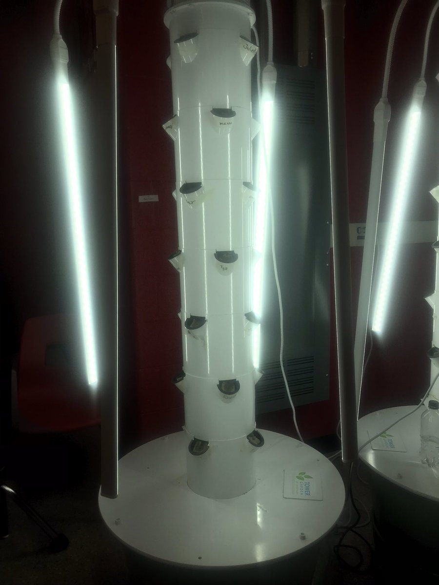 STEAM@BCSS tweet media