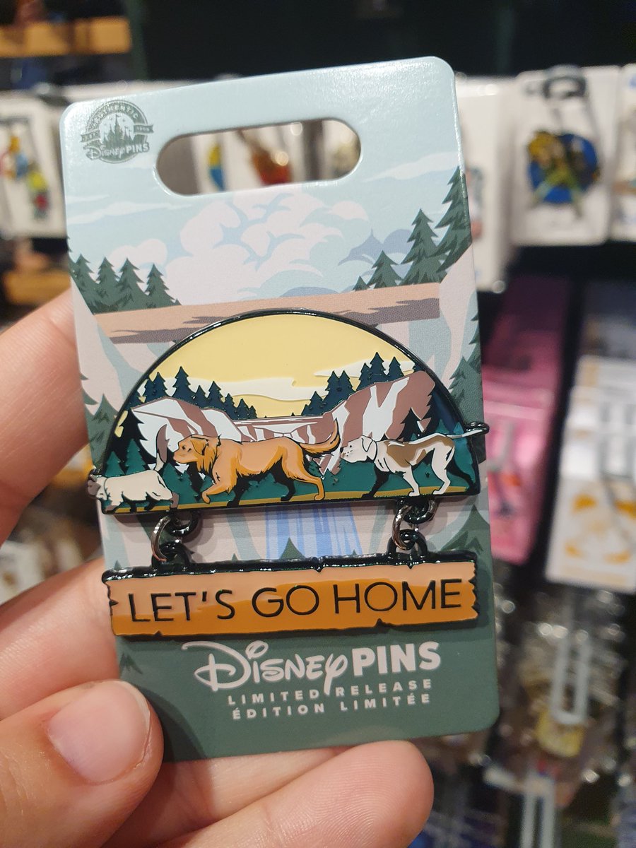 OFFICIAL HOMEWARD BOUND PIN???