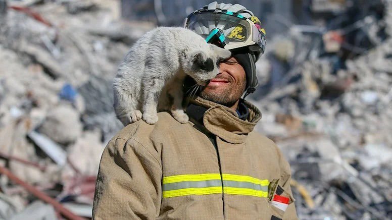 cuteanimalspict's tweet image. ❤️